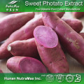 Purple Sweet Potato Extract Red Color